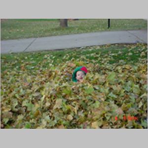 danny in leaves 3.JPG